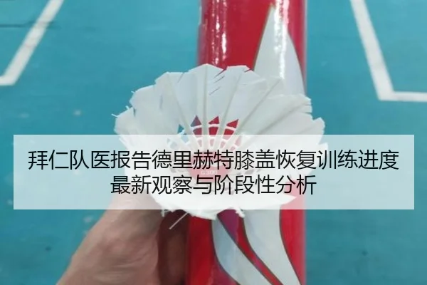 拜仁队医报告德里赫特膝盖恢复训练进度最新观察与阶段性分析